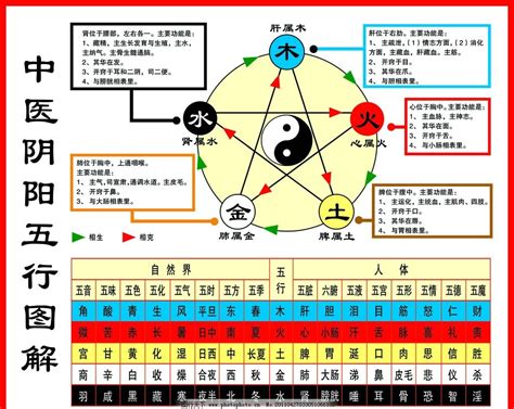 八白 五行